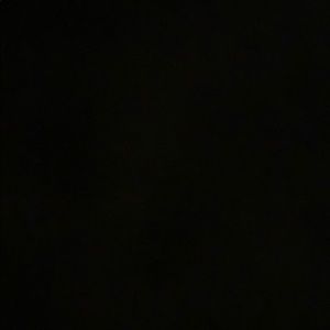 Meet your Posher, Brady